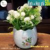 Mẫu 10 ( xem hình bên)