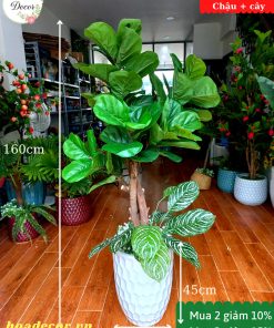 Cây Bàng Giả Trang Trí