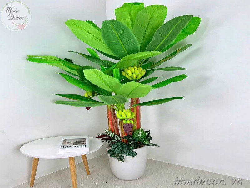 Chau Cay Gia Decor (1)