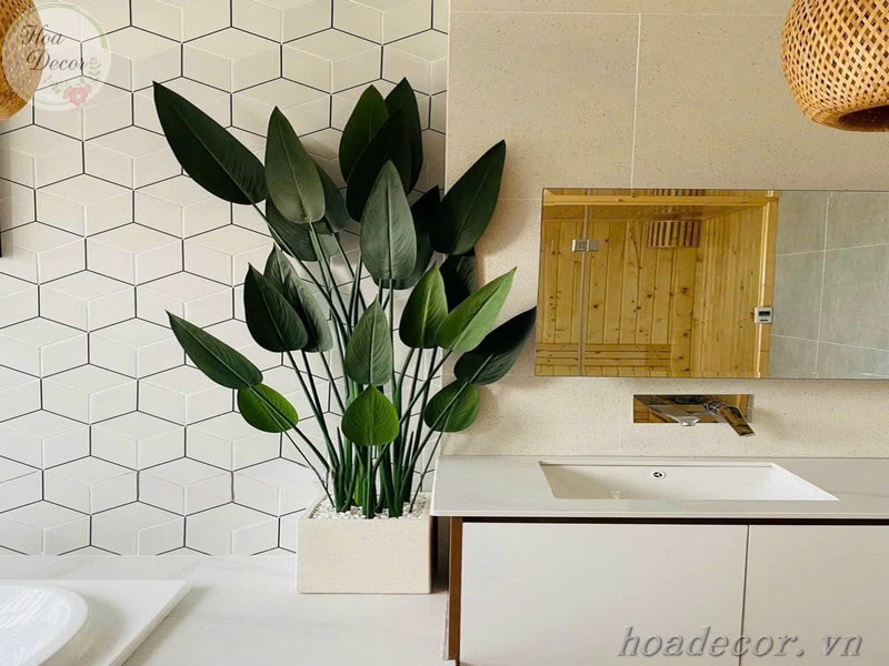 Chau Cay Gia Decor (13)
