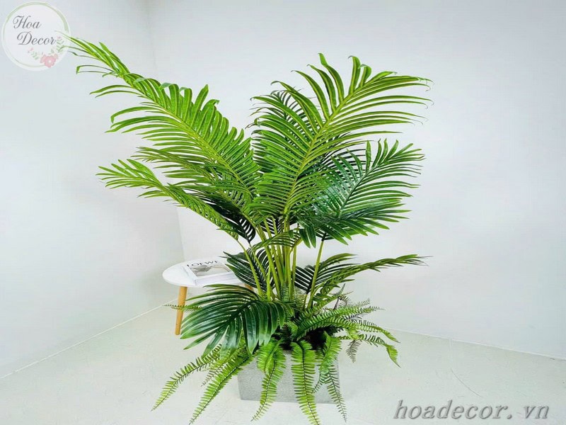Chau Cay Gia Decor (14)