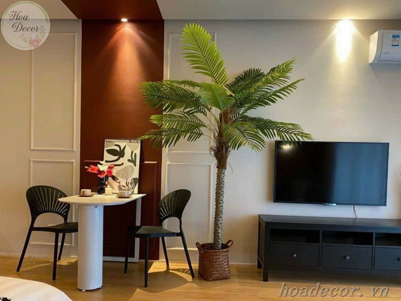 Chau Cay Gia Decor (5)