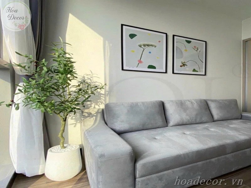 Chau Cay Gia Decor (9)