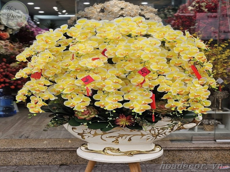 Chau Hoa Lan Gia (11)