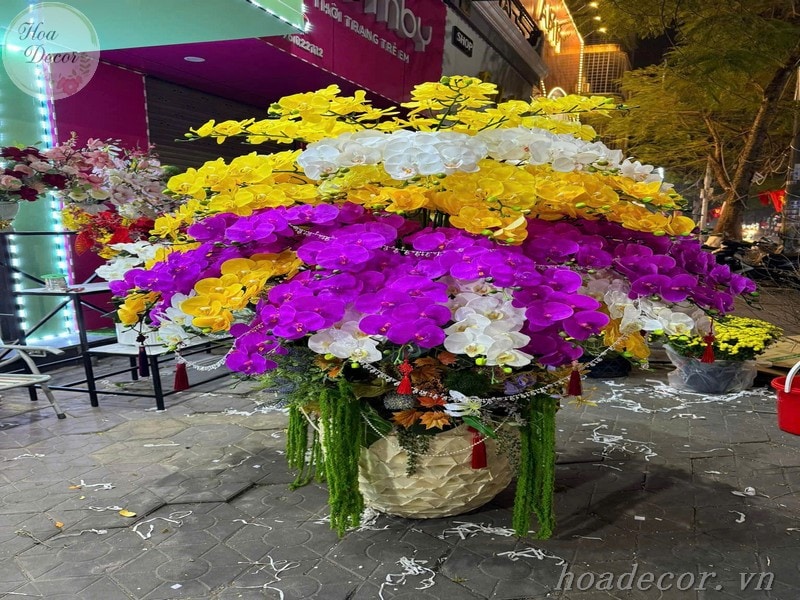 Chau Hoa Lan Gia (3)