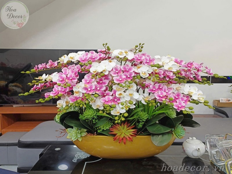 Chau Hoa Lan Gia (6)
