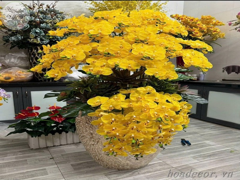 Chau Hoa Lan Gia (7)