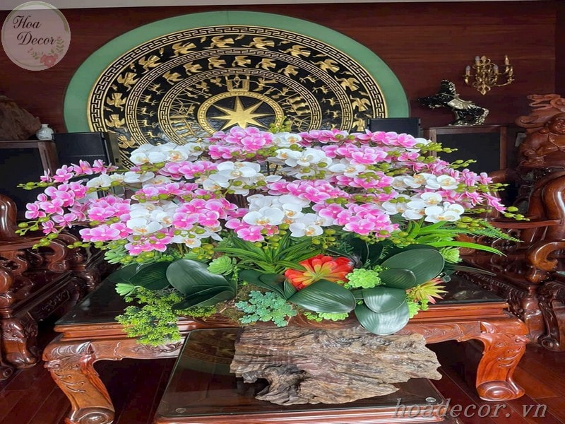 Hoa Lan (2)