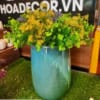 Chau Hoa Gia Trang Tri