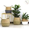 Giỏ Cói Trồng Cây