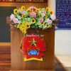 Hoa Bàn Họp