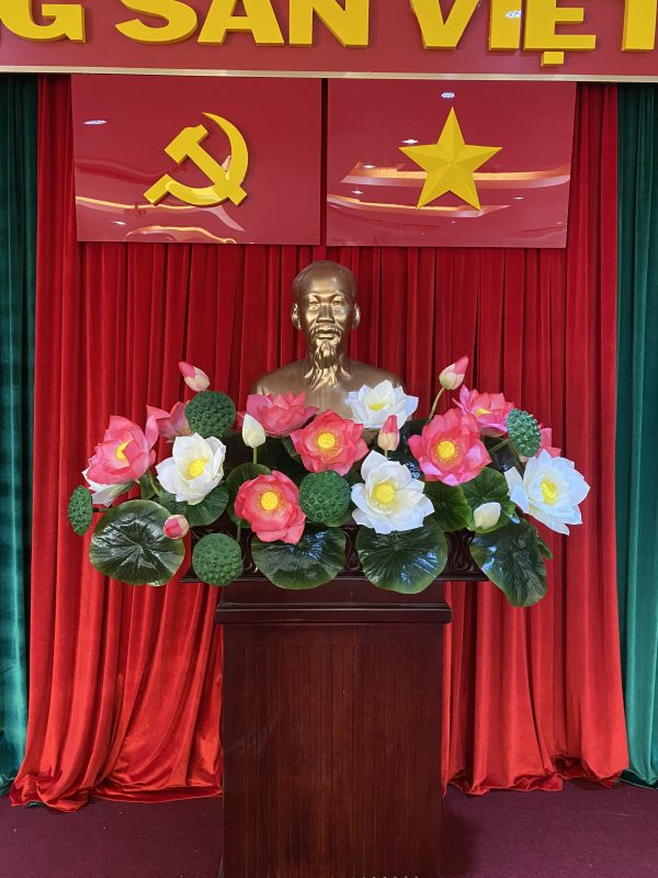 Hoa Sen Bục Bác Hồ