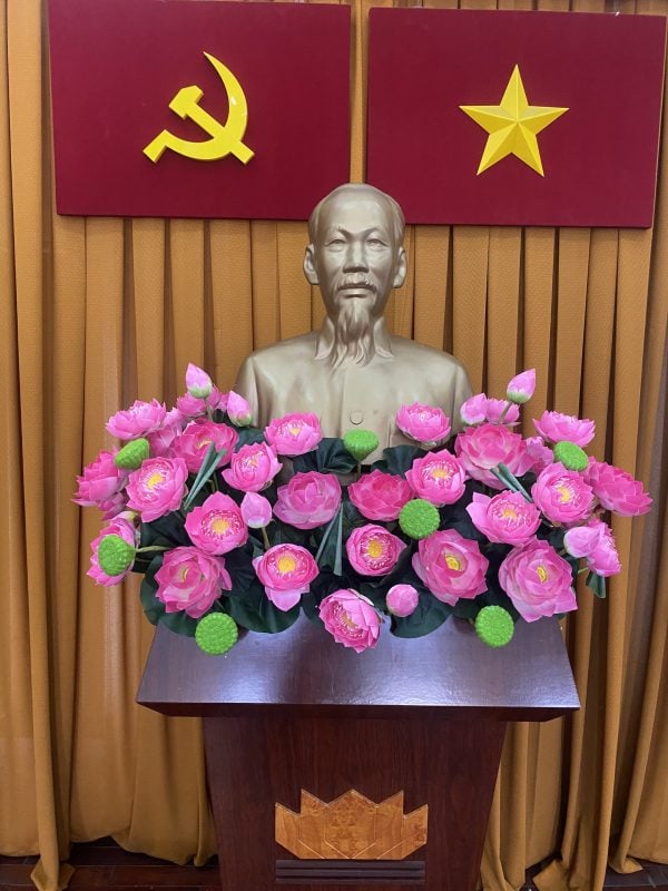Hoa Sen Bục Bác Hồ