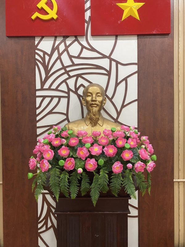 Hoa Sen Bục Bác Hồ