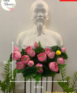 Hoa Sen Bục Bác Hồ