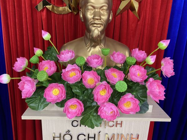 Hoa Sen Bục Bác Hồ