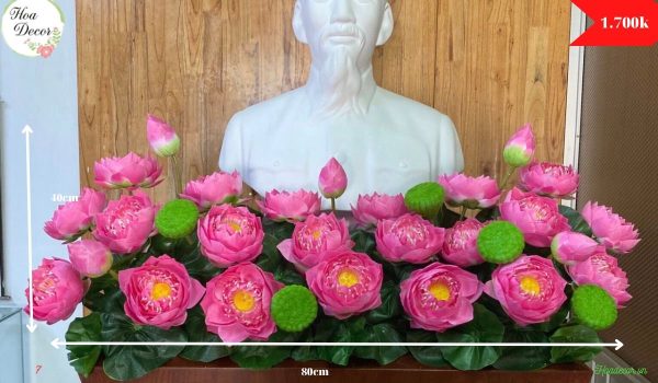 Hoa Sen Bục Bác Hồ