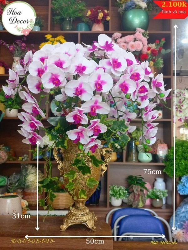 Chậu Lan Hồ điệp Giả