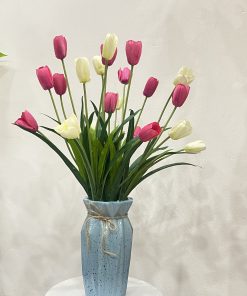 Bình Hoa Tulip