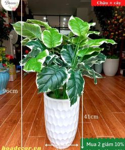 Cây Cảnh Giả Trang Trí