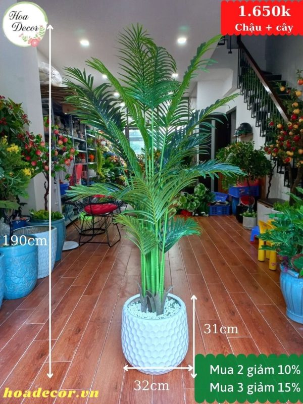 Cây Cảnh Giả Trang Trí