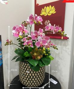 Chau Lan Ho Diep (11)