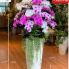 Chậu Lan Hồ điệp Giả