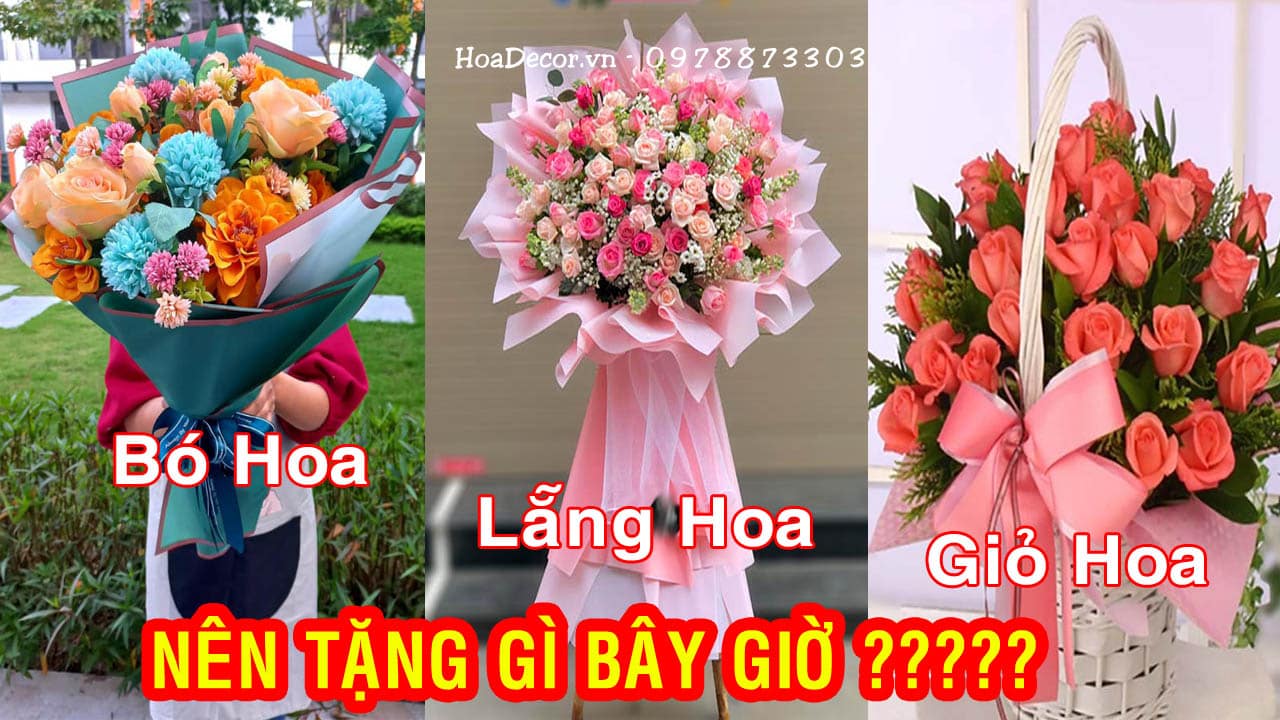 Nen Tang Lang Hoa Hay Bo Hoa