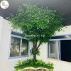 Chậu Cây Giả Trang Trí