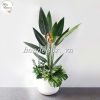 Chậu Cây Giả Trang Trí