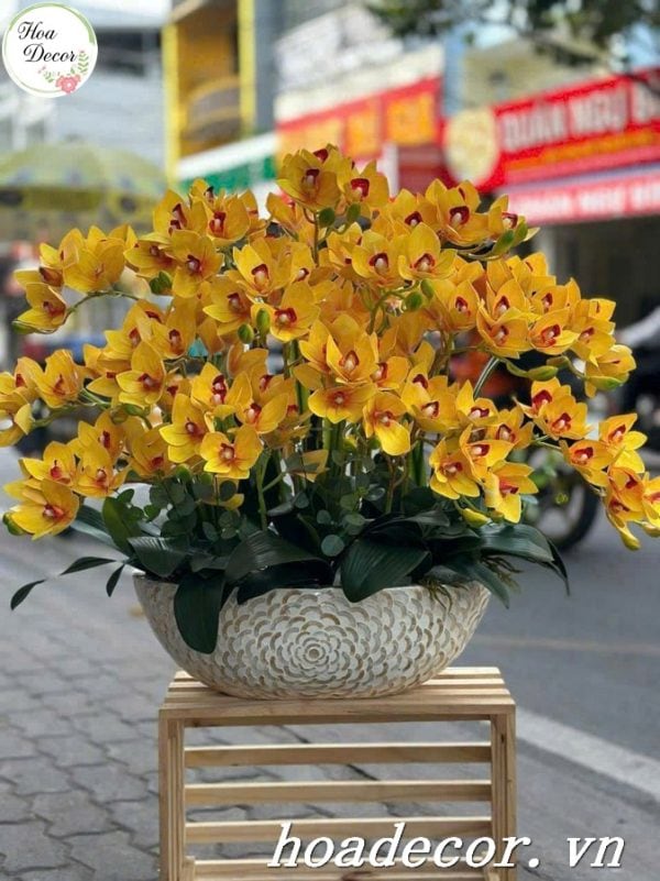 Chậu Hoa Lan Giả