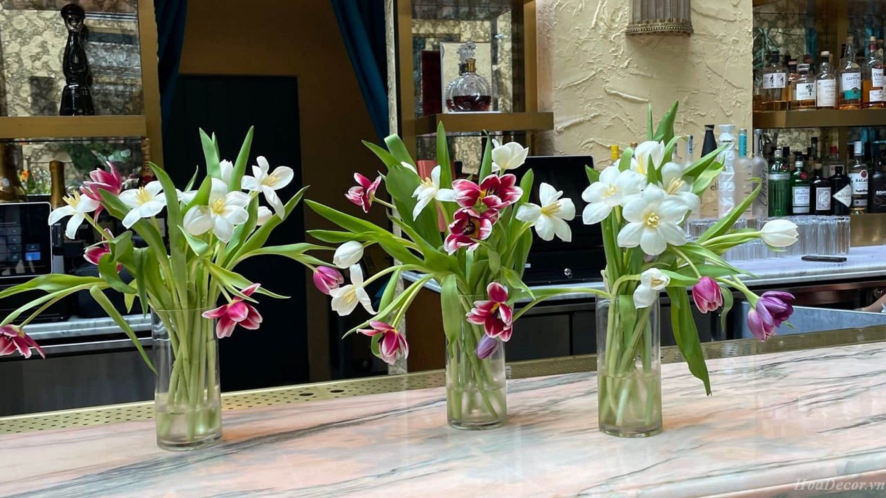 Cắm Hoa Trang Trí Công Ty