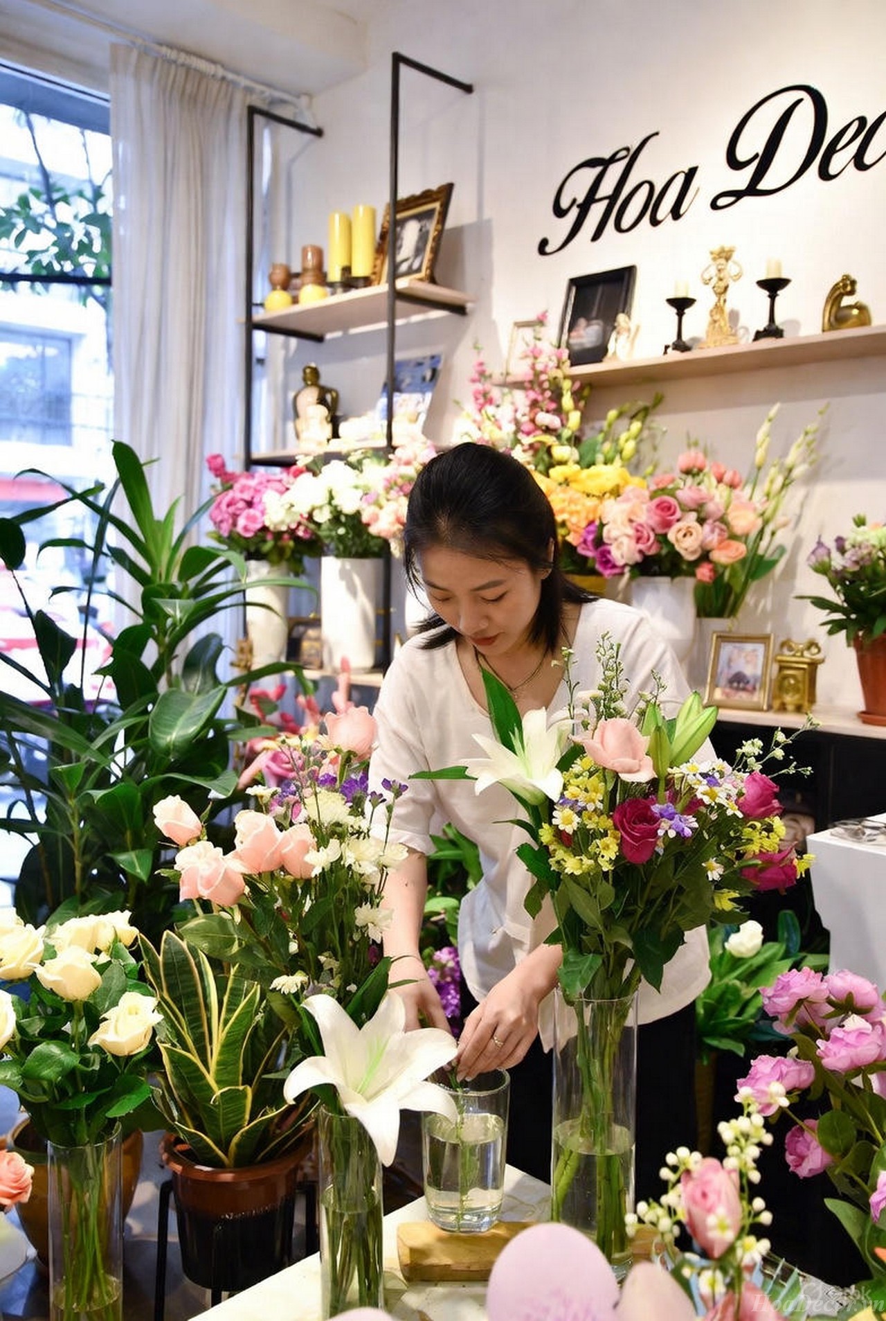 Hoa Tươi đắt Hơn Hoa Giả