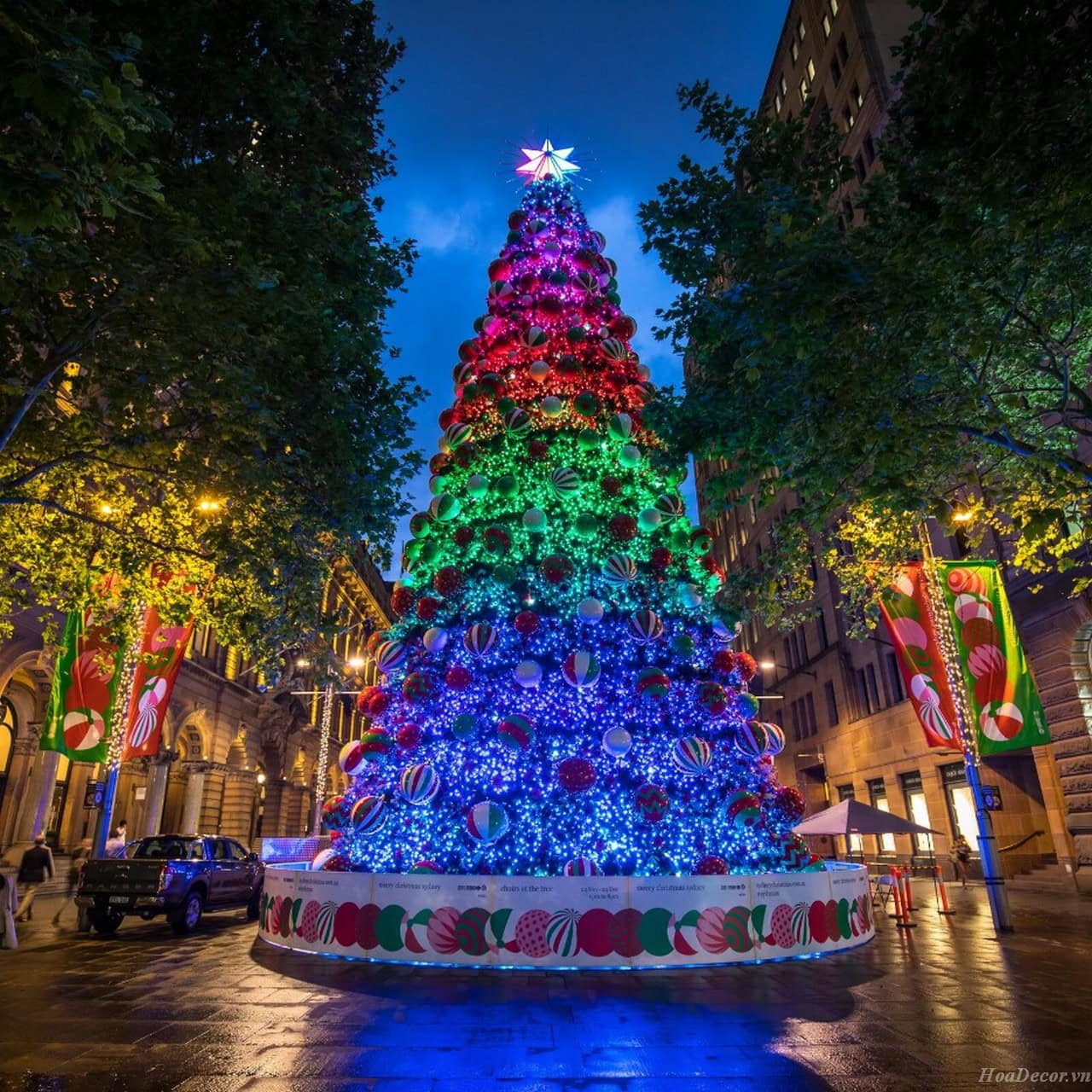 Ngồn Gốc Cây Thông Noel