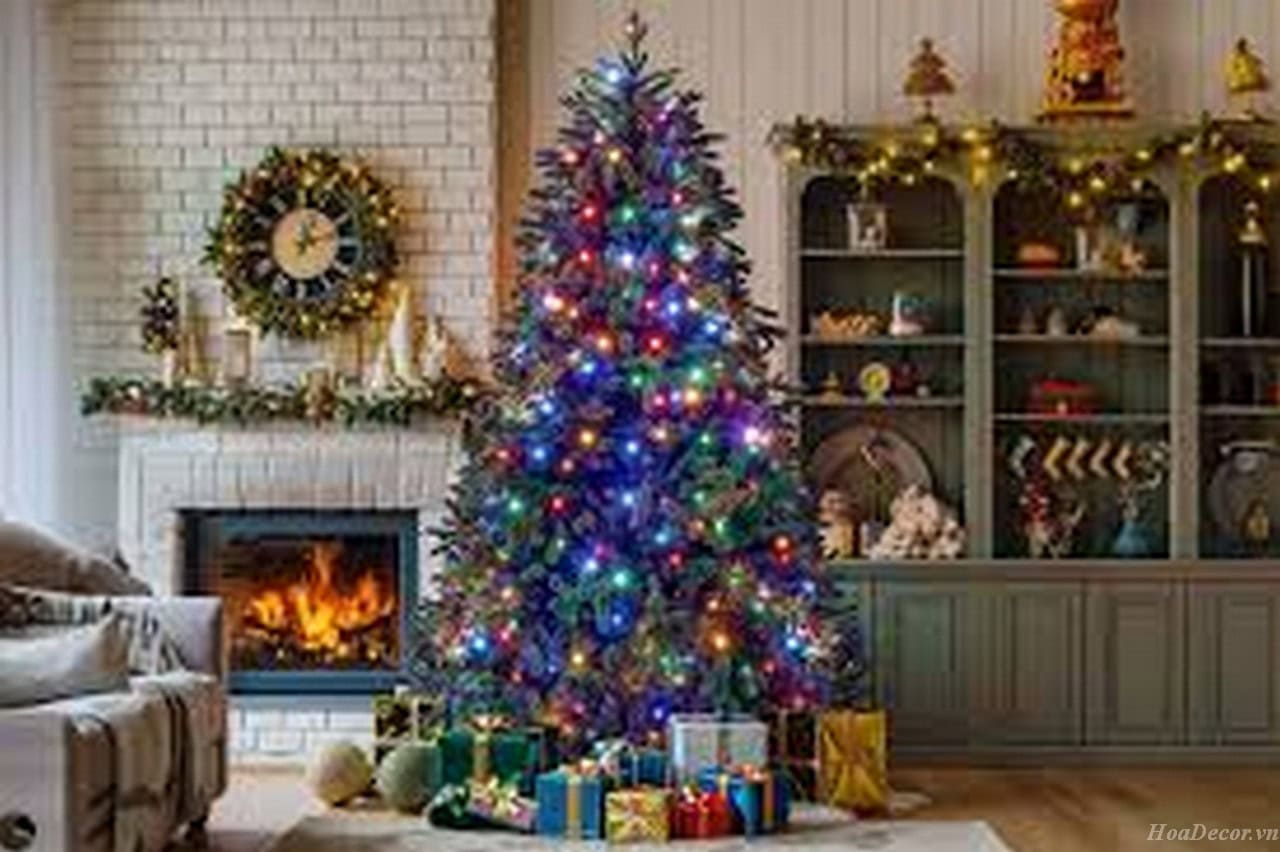 Ngồn Gốc Cây Thông Noel